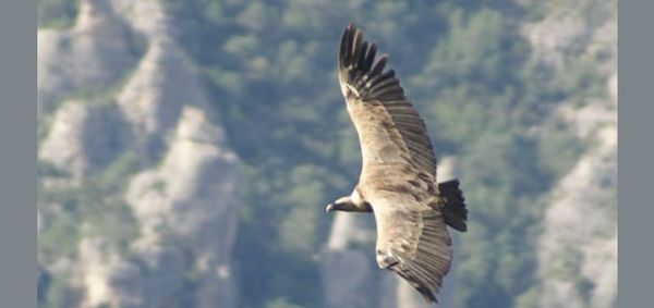 Comment j’ai manipulé une abonnée pour lui voler 2.000€ !