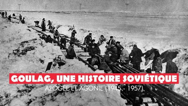 Comment sauver l’entrepreneur, cette espèce menacée par la sécurité sociale ?