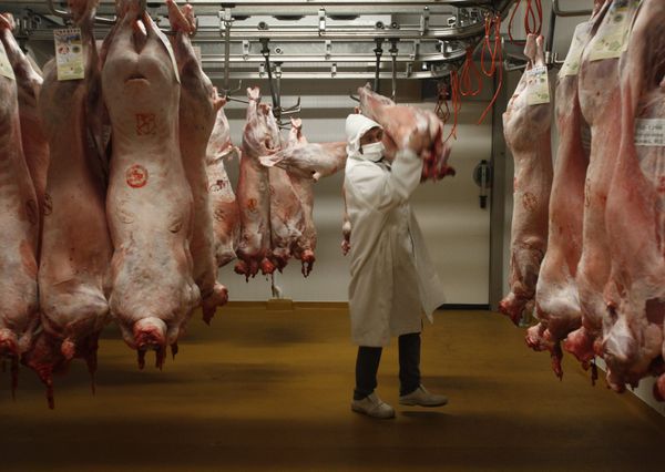 Retraites : le permis de casser la santé sera préservé