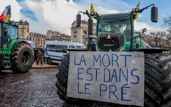 Loi Duplomb: une discussion emblématique de la crise politique française