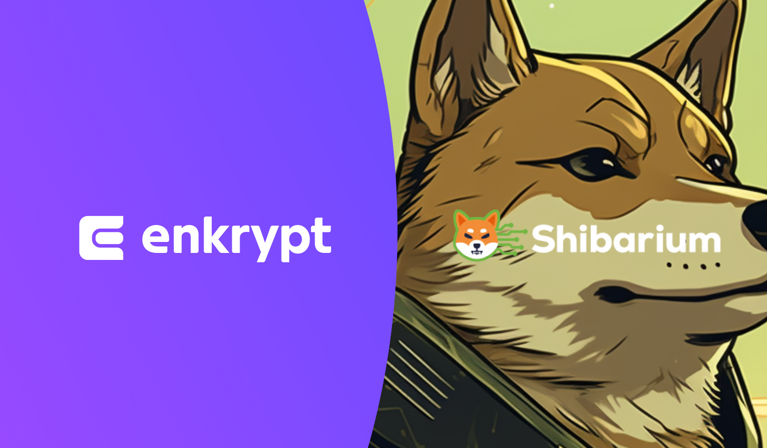 Interacting with Shibarium using Enkrypt