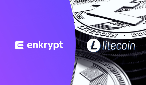 Interacting with Litecoin using Enkrypt