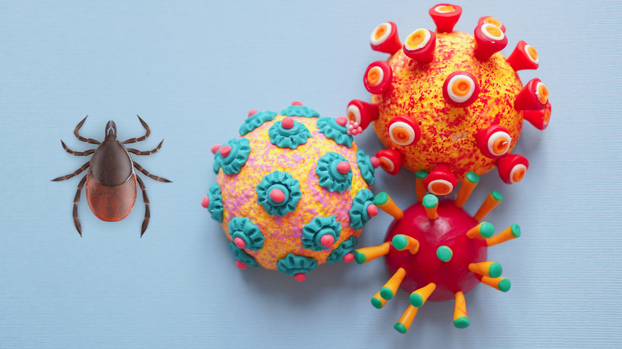 Infectious Diseases Smite the Northern States. Climate Change Is Partly to Blame