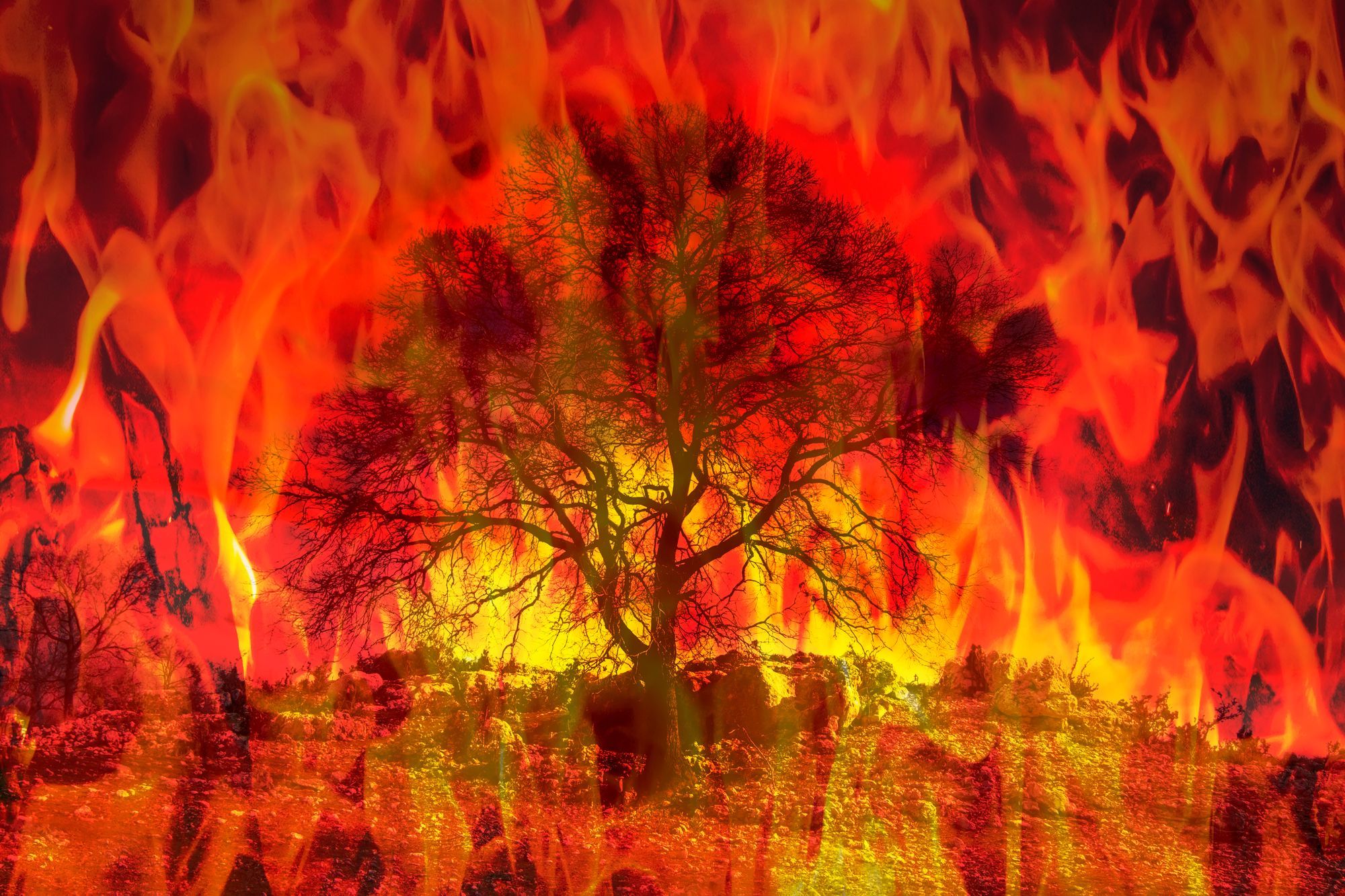 A Surreal Winter Fire Burns California