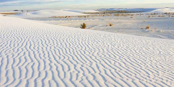 New Mexico and Climate Change: Moves to Preserve the Land of Enchantment