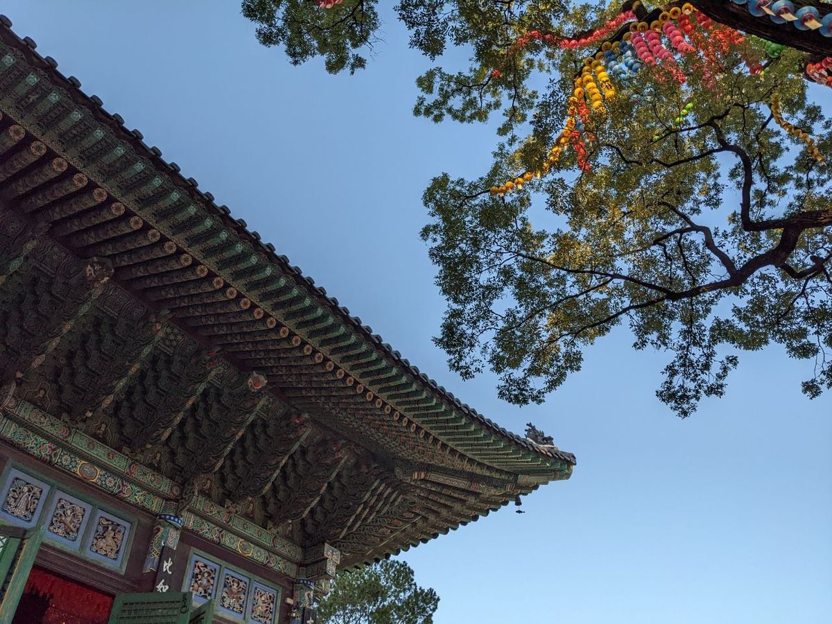 Trip Report: Korea Oct '22