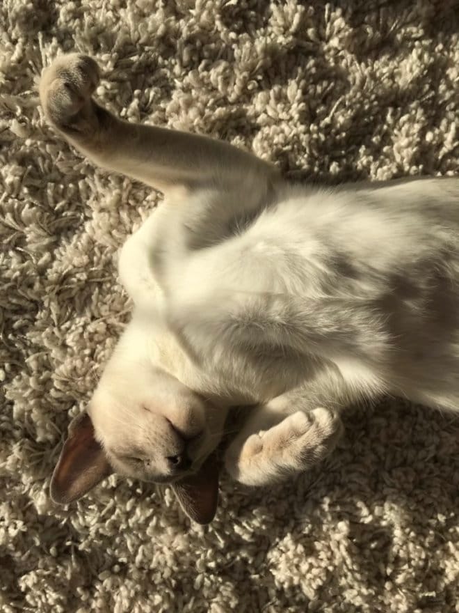 Aberdeenshire Reviews