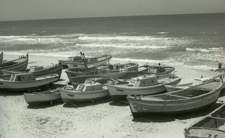 #6 Israel's relentless suppression of Gaza's fishers