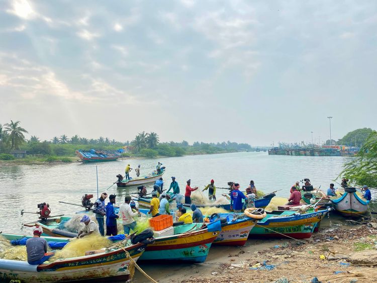 #11 Cuddalore ring-seiners struggle to survive after the ban