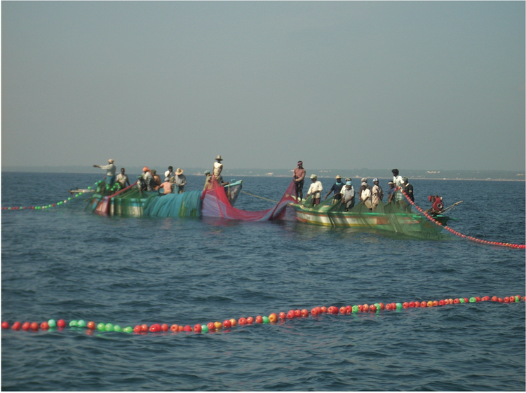 #10 The rise and fall of Cuddalore’s ring-seiners