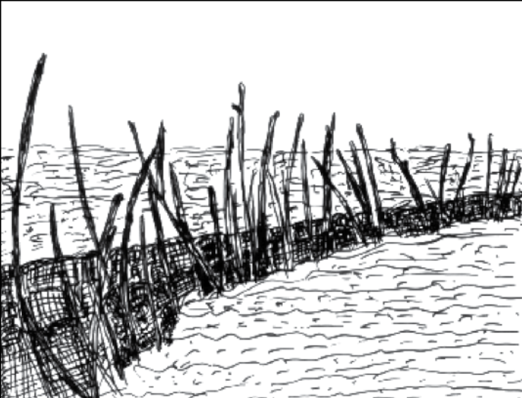 #4 It's Official: Aquaculture can now be practiced unabated across India's coastline