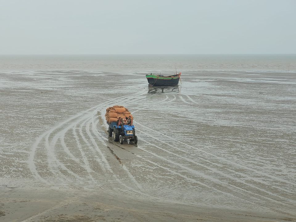 #8 What do the election results mean for India's fishers