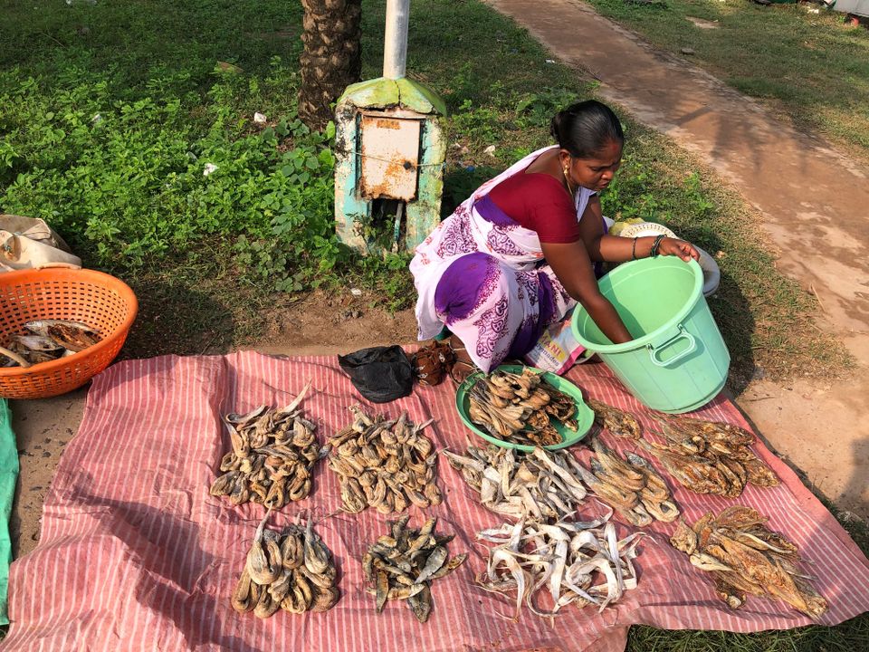 #13 Annankoil’s Resilient Fisherwomen