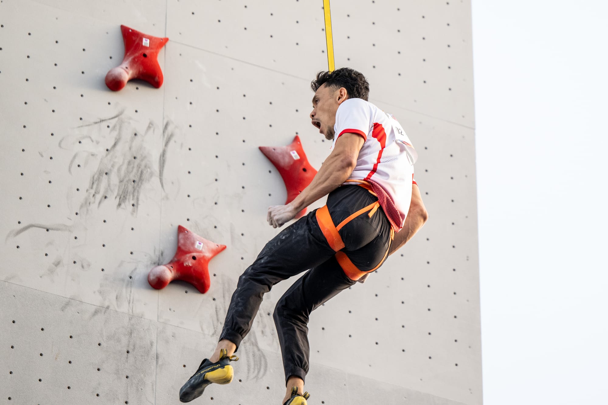 Leonardo descending after winning the big Final race for first place.