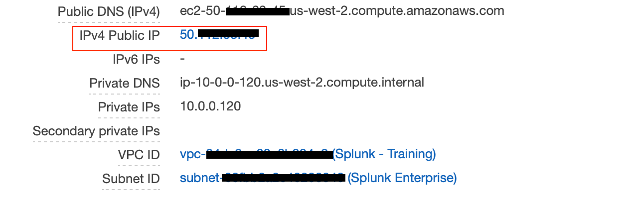 Finding the plublic IP address