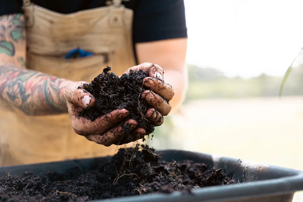 Hands holding soil at Ford's Farm