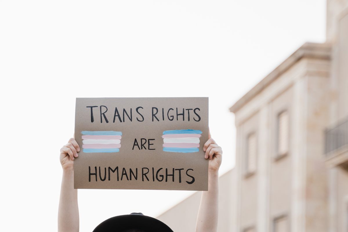 The Logic of Transmisogyny