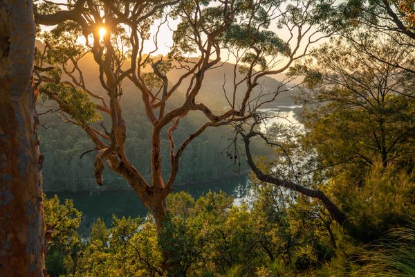 What is a 'Climate Trigger'?