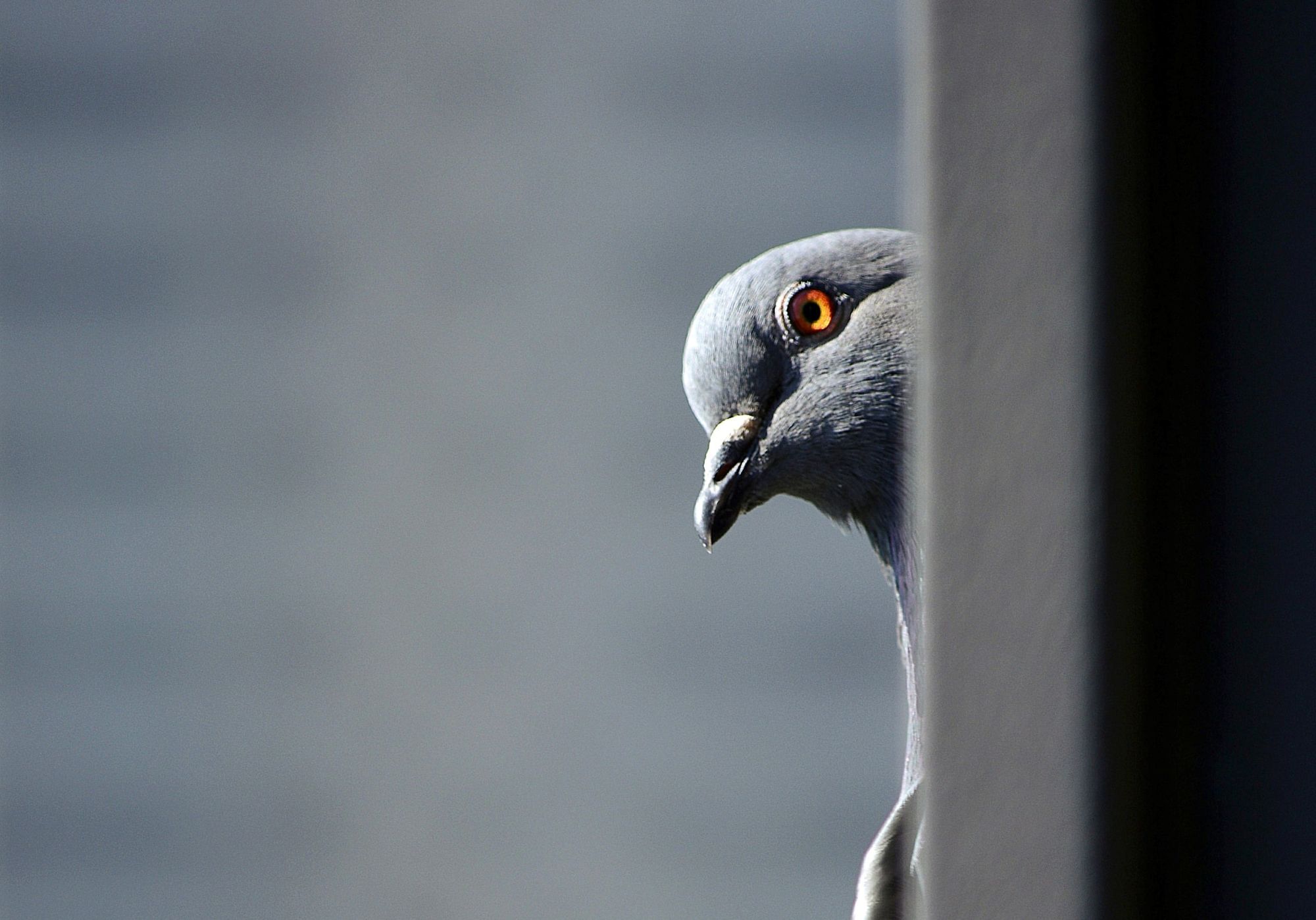 Можно ли скрывать от начальника вторую работу?