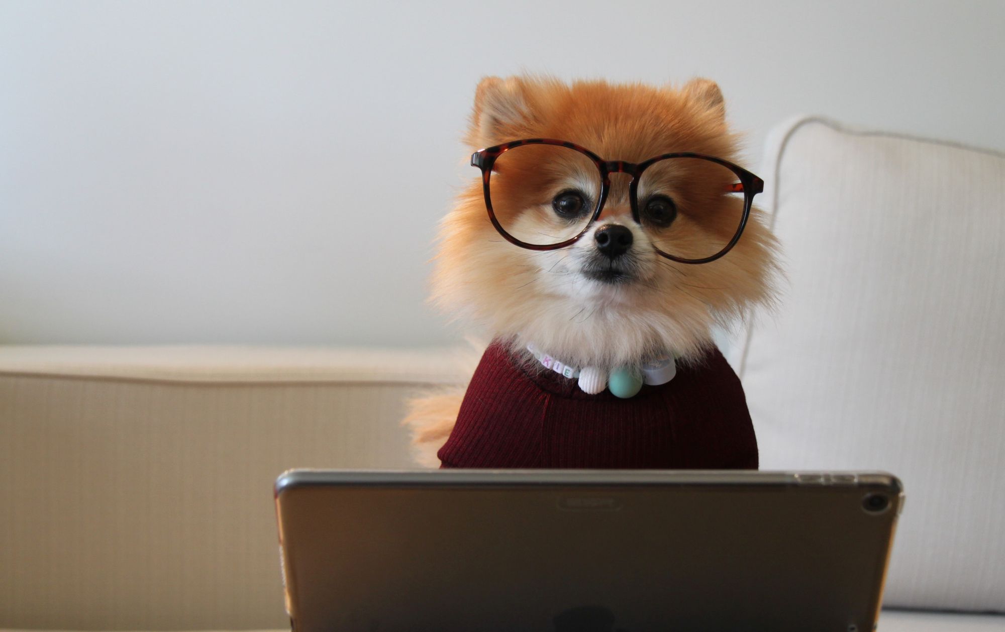 Как прорваться в ИТ без опыта?