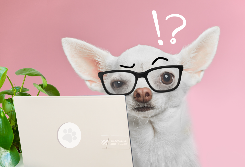 Россияне объяснили, почему не просят у начальства повышения зарплаты