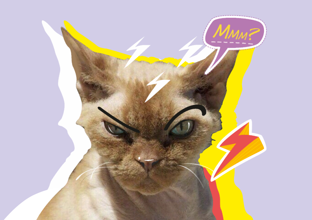 Дайджест: трудовые споры