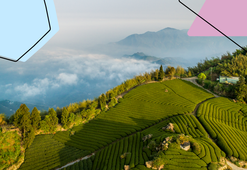 Охранник на Тайване умер после 42 дней работы без выходных