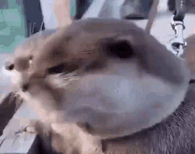 Как я чуть не сбежала с собеседования