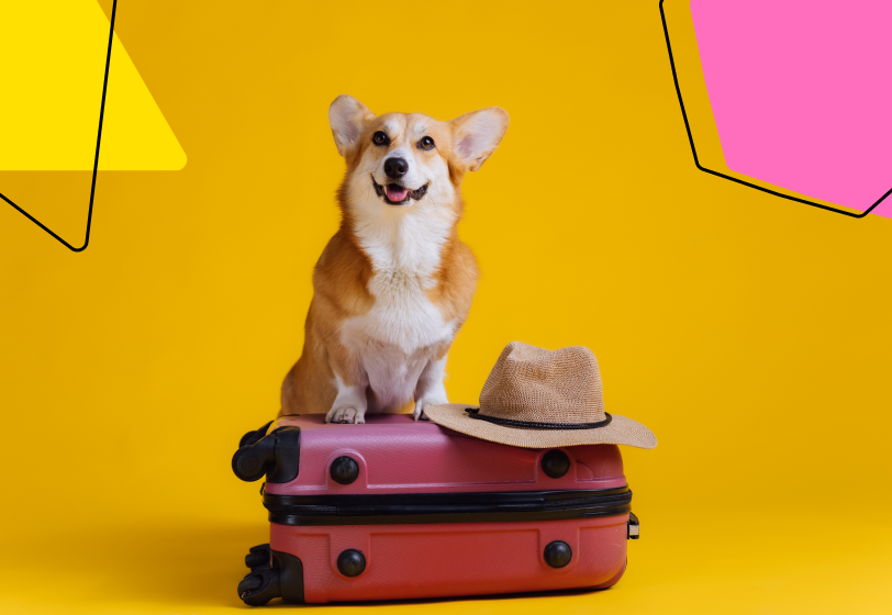 Работодатели массово отправляют россиян в отпуск за свой счет, чтобы не оплачивать простой