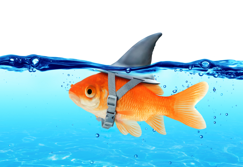 Здоровые амбиции ли мания величия? Разбираемся на примерах