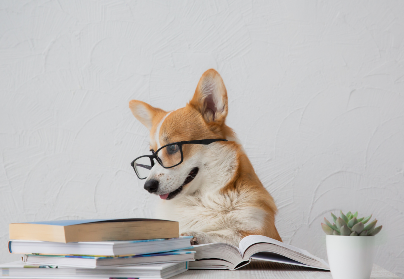 Словарь молодежного сленга, часть вторая