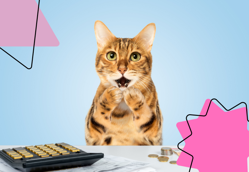 Женщина потеряла работу из-за кошки