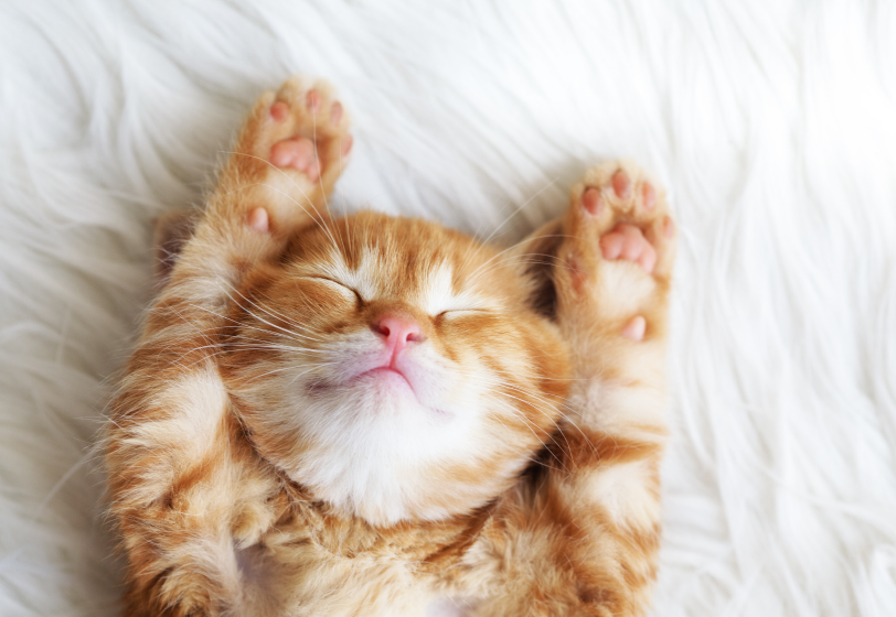 Не могу перестать работать! Как переключиться на отдых?