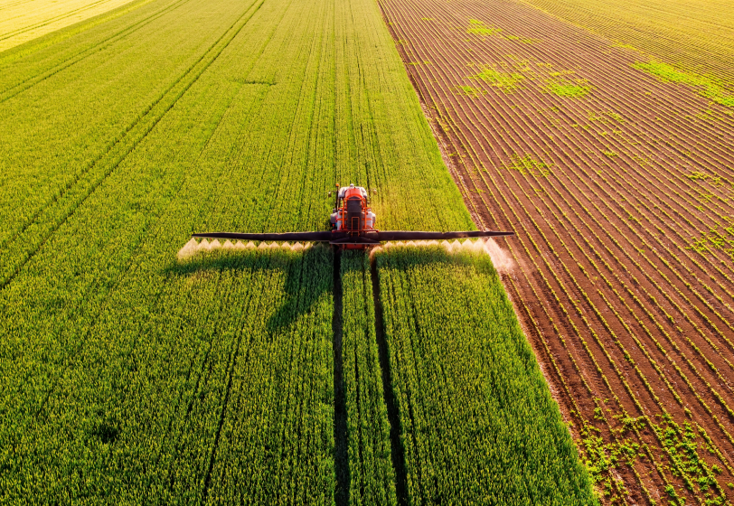 Как кубанский агрохолдинг выращивает новое поколение профессионалов для сельского хозяйства