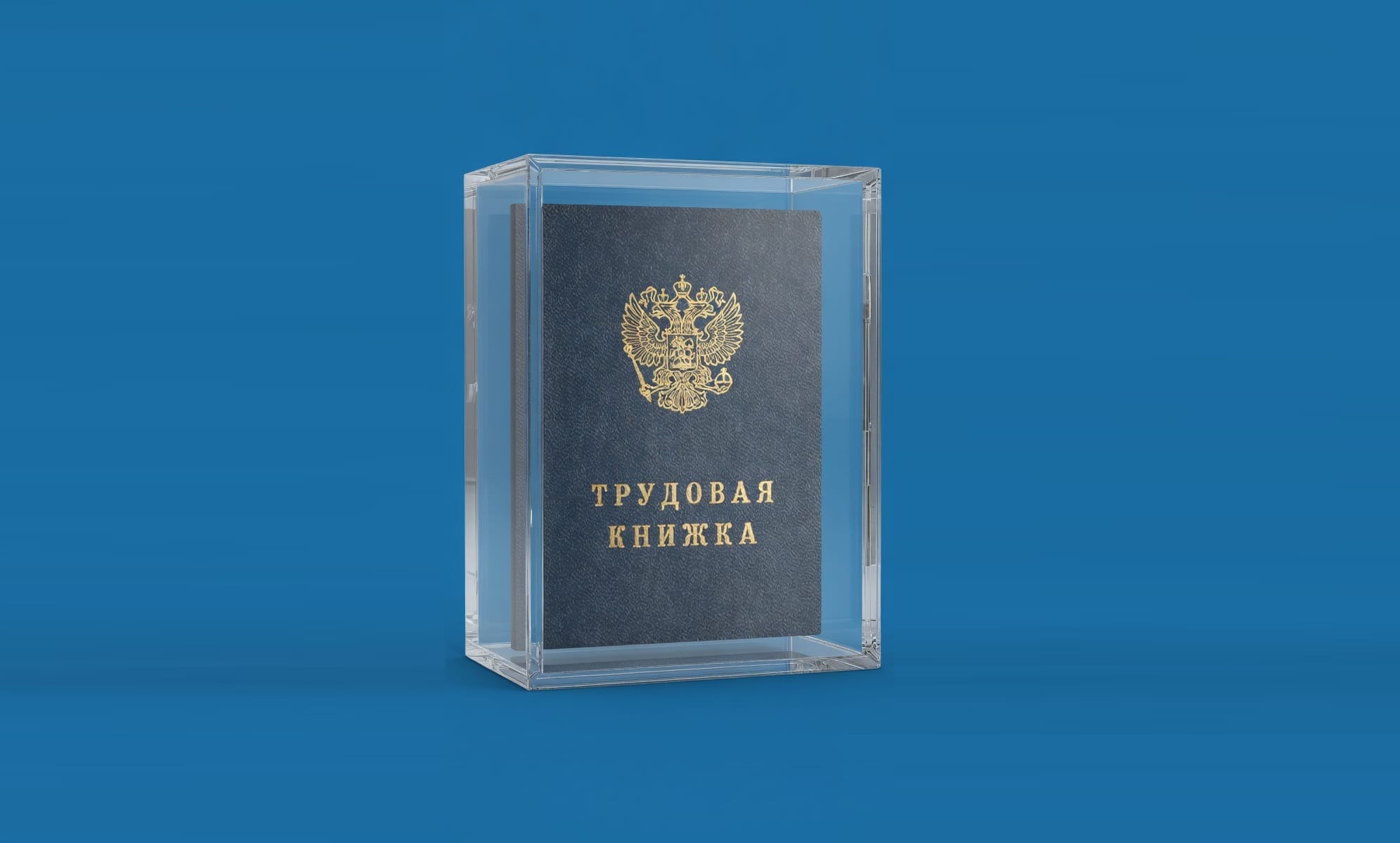Не просто «развивал продукт»: HR-эксперт назвала 5 способов не попасть под сокращение в 2026 году
