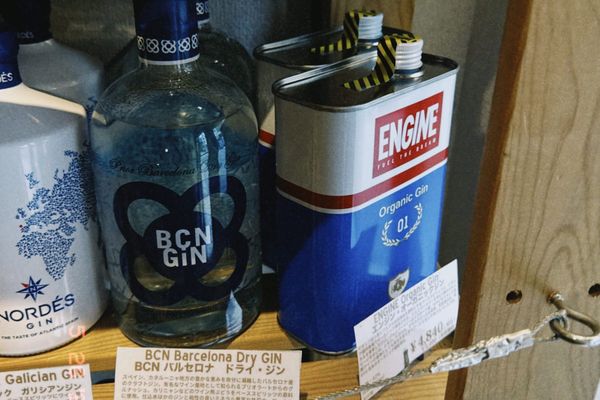 琴通尼根本就是現實解藥吧？！訓練加油，穿山甲夏季版下週上線！《骨東週報重啟！》傲骨戰術裝備屋