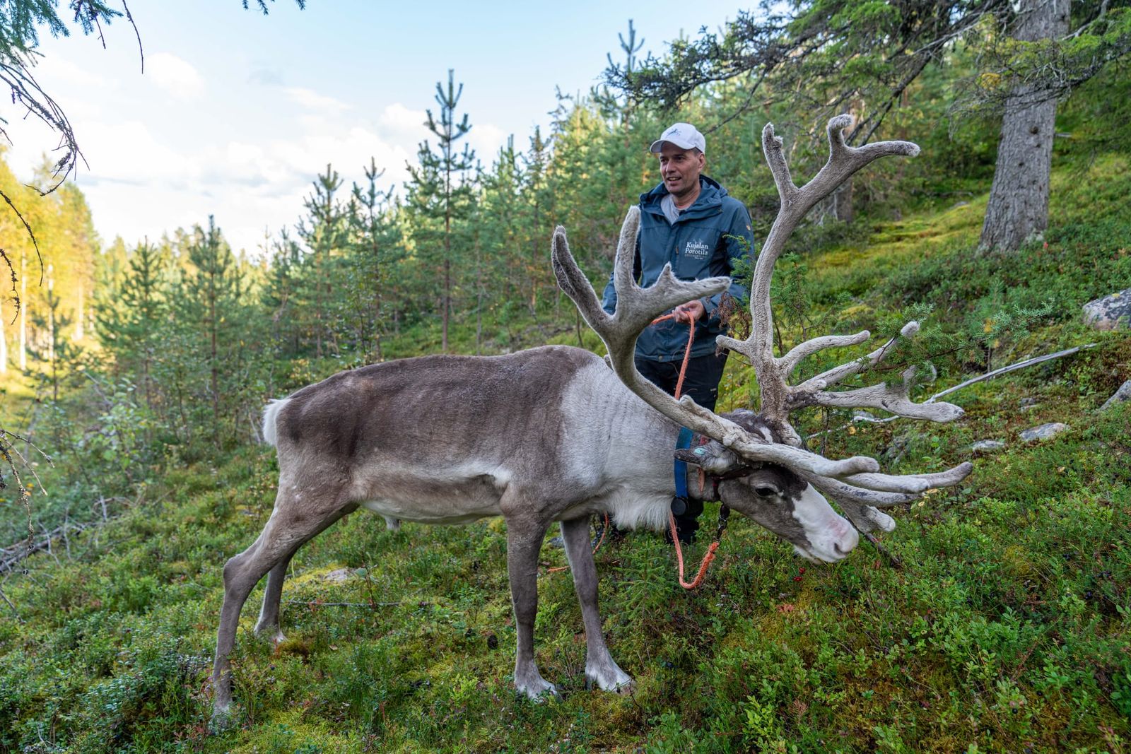Single? Finland Wants To Take You Out For Dinner