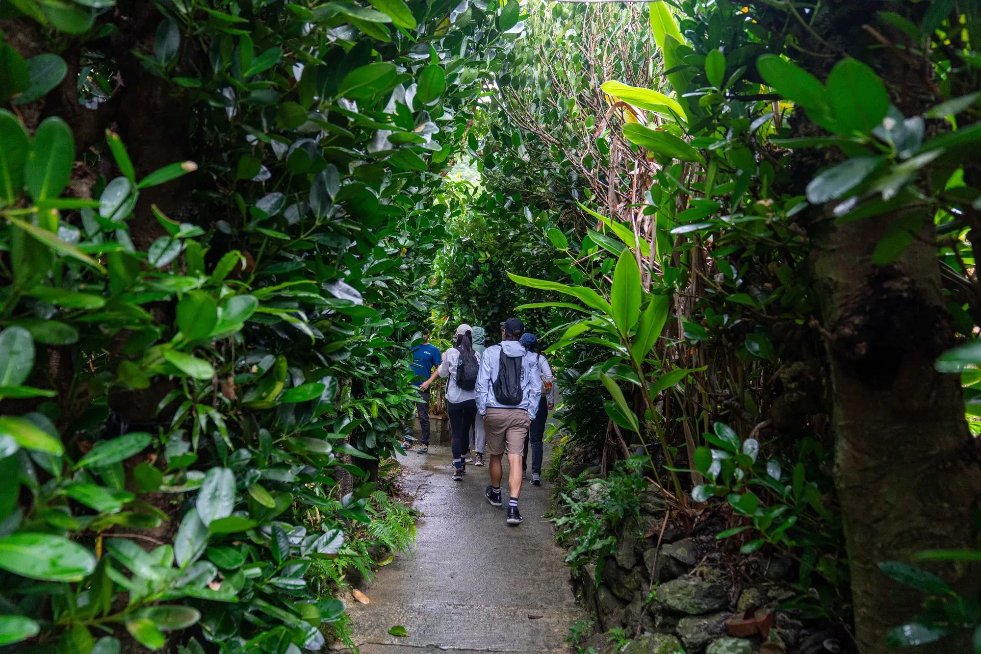 Meet Us In Okinawa