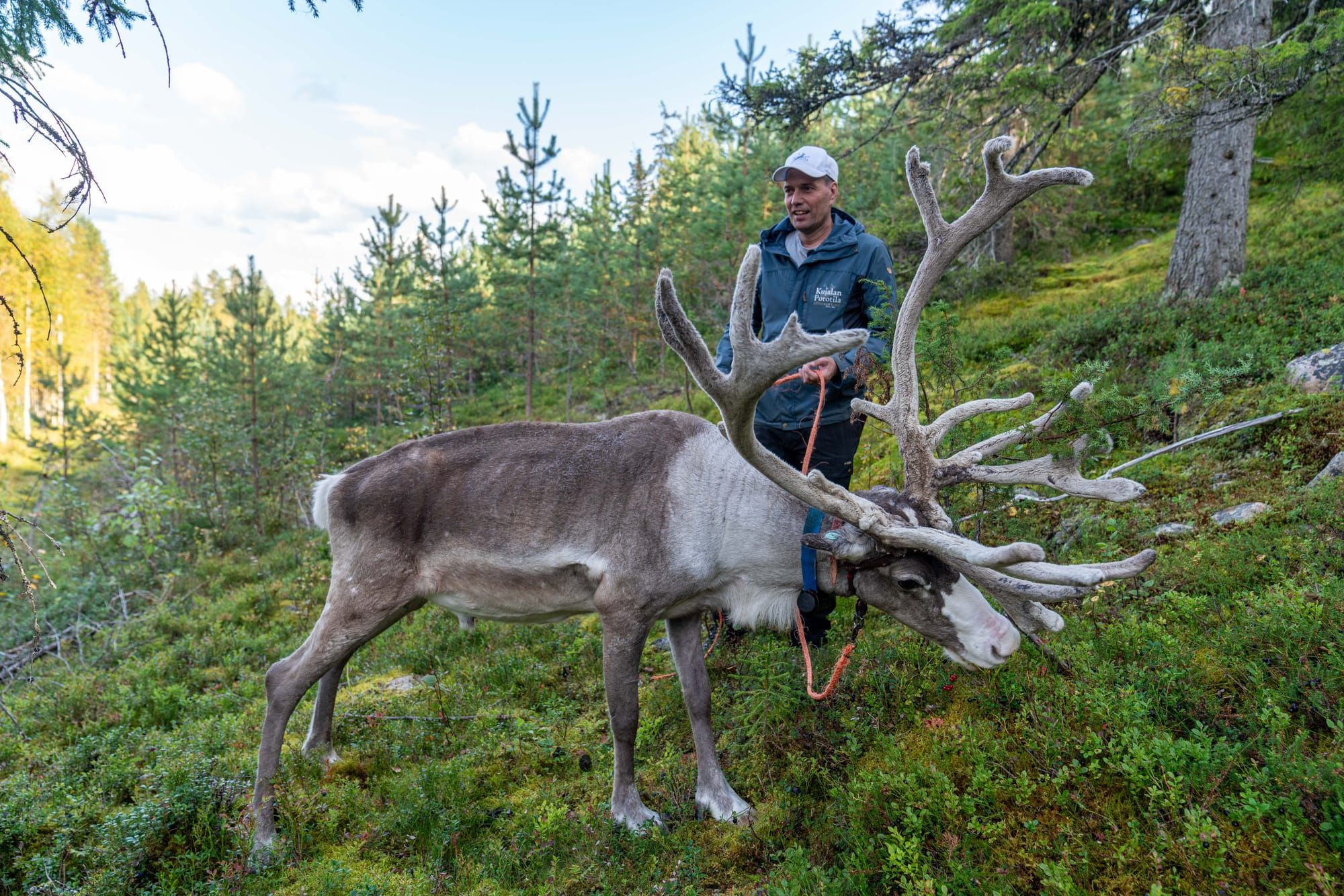 Single? Finland Wants To Take You Out For Dinner