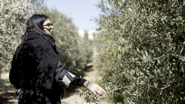 Meet the Woman Behind the World's Top Olive Oil – In Jordan