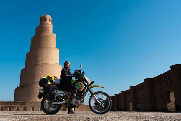 Alex Reynolds Would Make a Great World Dictator