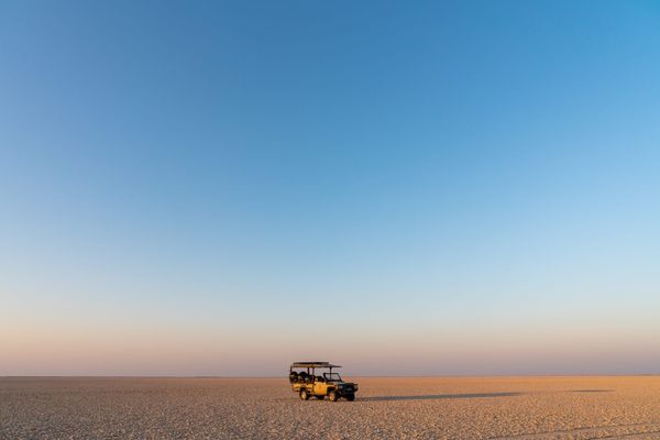 The Best Investment I Could Have Made