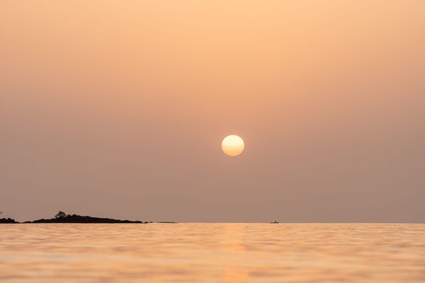 Celebrating a Book Proposal Rejection