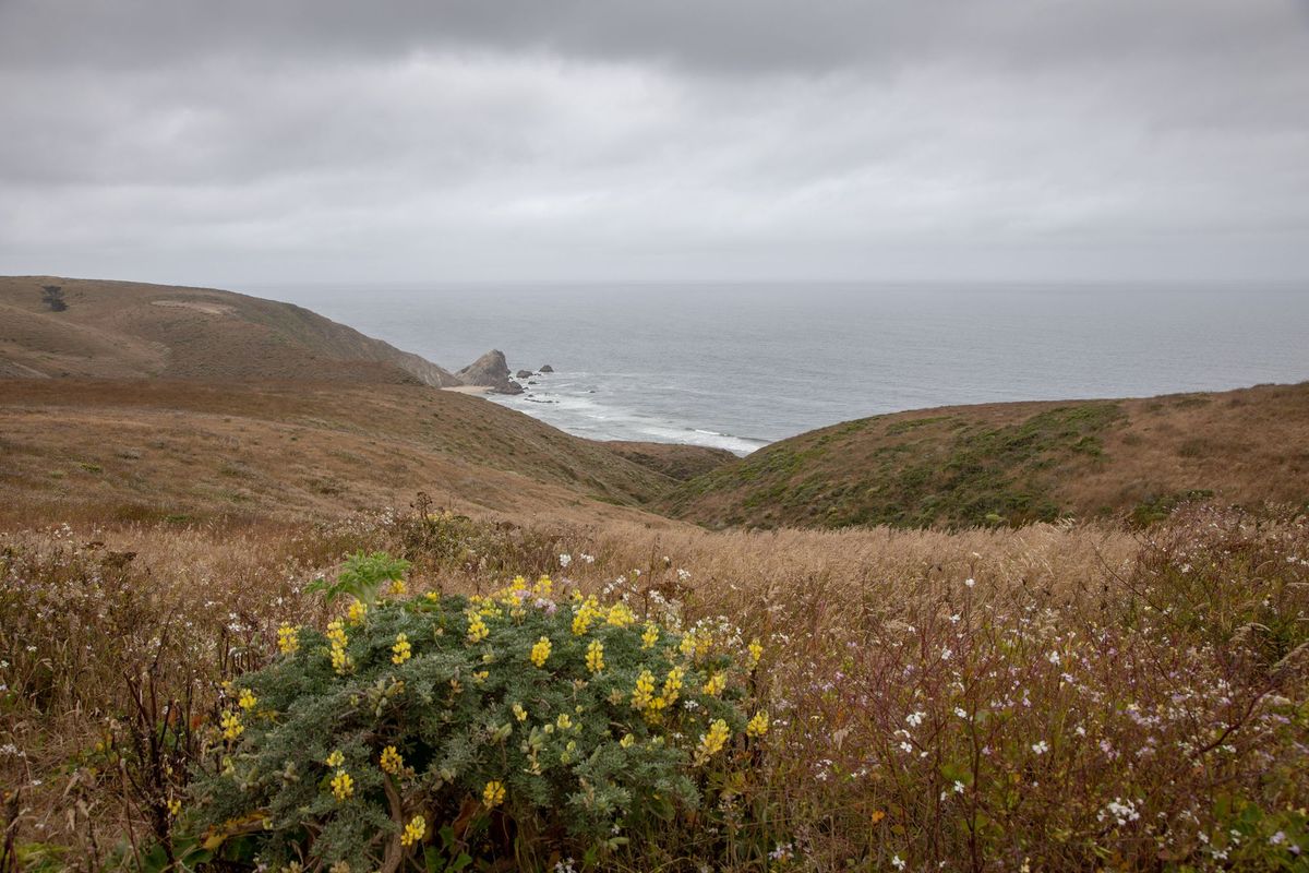 Northern California Coastal Ranges