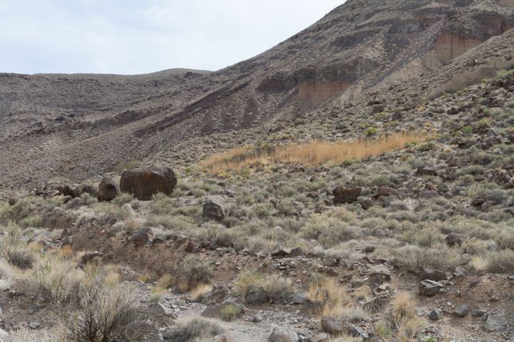 Jayhawker Spring Petroglyphs