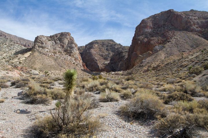 Marble Bath Pictographs