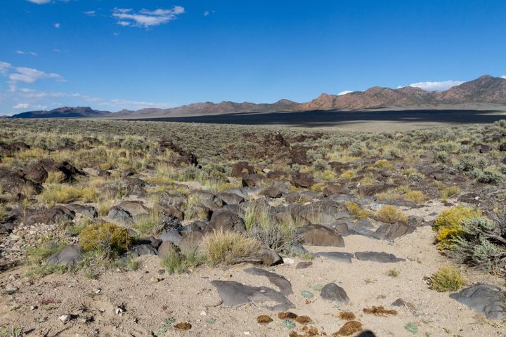 Willow Witch Petroglyphs