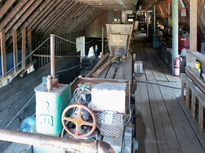 Golden Bear Mining Camp