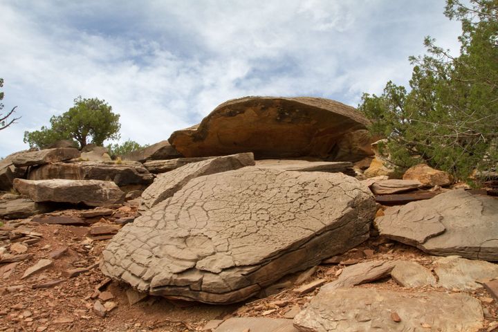 Clamshell Petroglyphs