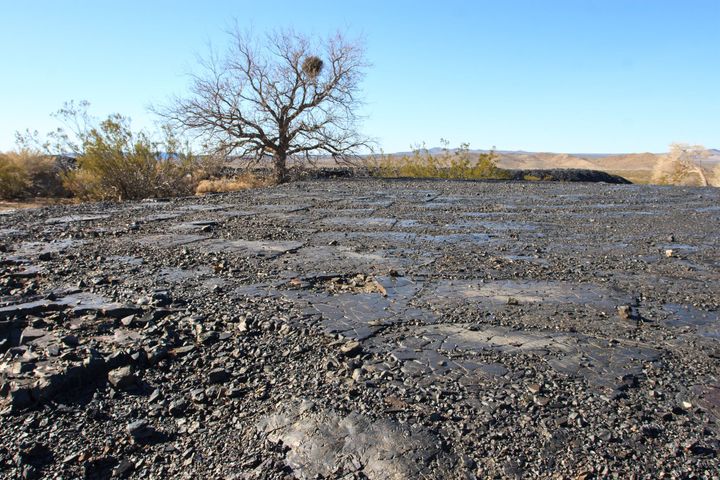 Rosalie (Valley Wells)